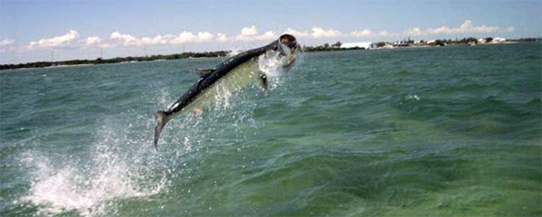 Southwest Florida Fishing Boating Information Fort Myers Real Estate