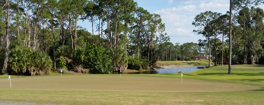 golfing Fort Myers real estate Cape Coral golf