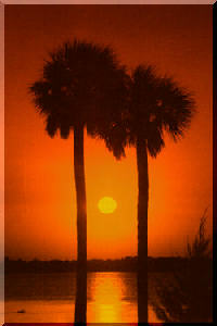 Enjoy the tropical sunsets!